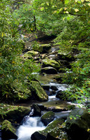 Lakes, Streams & Riverscapes