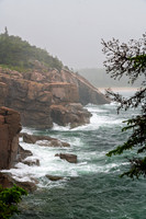 Acadia-NP-Coast-1