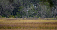 Jekyll-Marsh-3