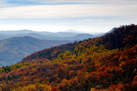 Fall Foliage