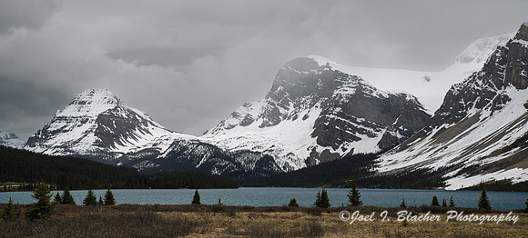 Icefields-Pkwy-CA