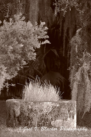 Well on Jekyll BW