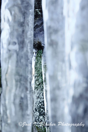 Ice and Lichen.jpg