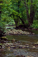 Lakes, Streams & Riverscapes