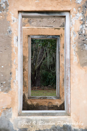 The Horton House-Jekyll