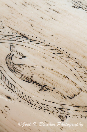Scrimshaw on Walrus Tusk 1800s