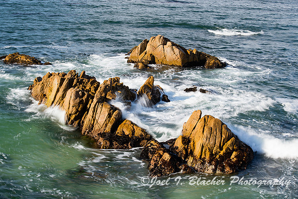 Rocky Intertidal-Pacific Grove 46