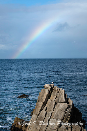 Rainbow on the Pacific-Pacific Grove CA 46
