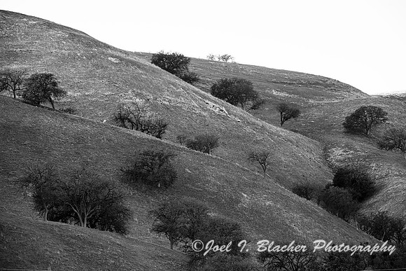 Northern-California-Valley
