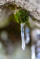 Moss-and-Ice-Ft-Mtn