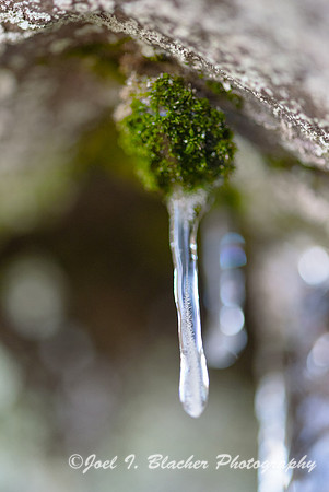 Moss-and-Ice-Ft-Mtn