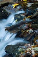 Lakes, Streams & Riverscapes