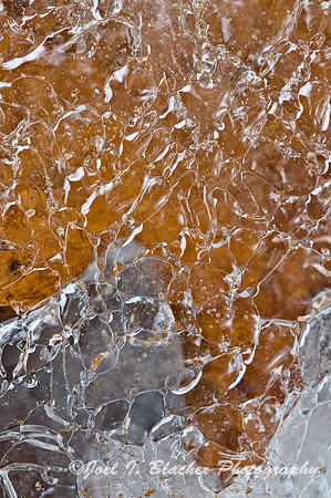 Poplar Leaf Under Ice, Mocassin Creek.jpg