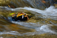 Lakes, Streams & Riverscapes