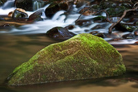Lakes, Streams & Riverscapes