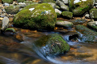 Lakes, Streams & Riverscapes