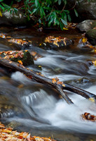 Lakes, Streams & Riverscapes