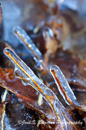 Ice 4.jpg