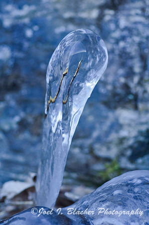 Ice 3.jpg