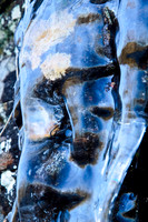 Winterscapes