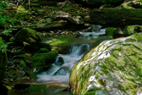 Lakes, Streams & Riverscapes
