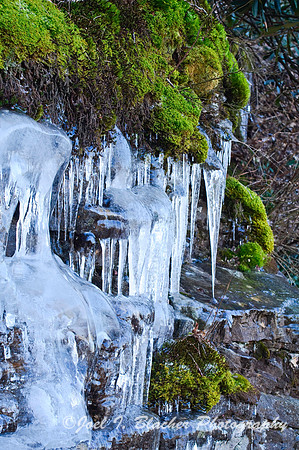 Ice and Moss 1