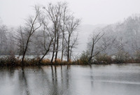 Winterscapes