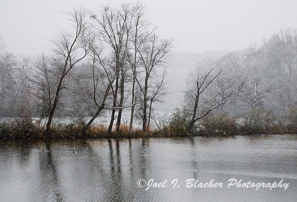 Trees on Snowy Chattahoochee.jpg